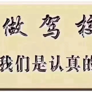 陈懿