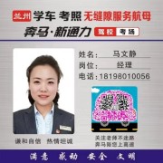 马文静
