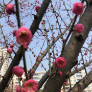 潘君