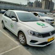 杨海洋