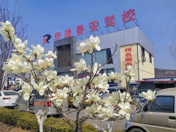 鲁安驾校