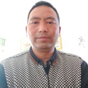 陈书杰