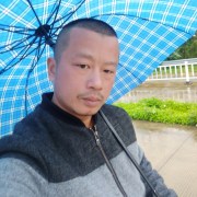 林陈伟