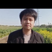沈林锋