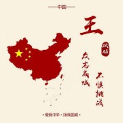 王茂华