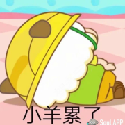 蔡刘洋