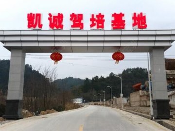 凯诚驾校云岩分校