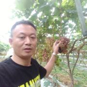 陈利
