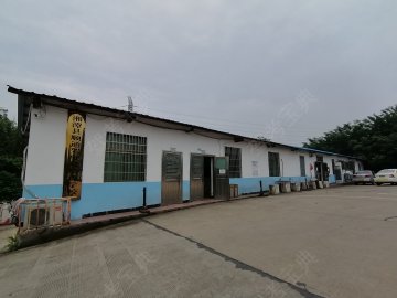 顺通驾校