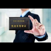 苏飞养