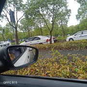 刘教练