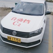 杨教练