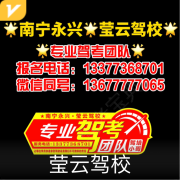 专业驾考团队