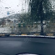 趙順