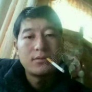 金凤强