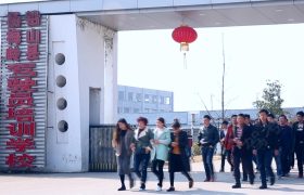 杨梅岭驾校