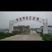 陈教练