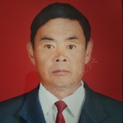 齐鹏