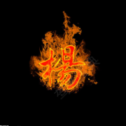 杨旭东