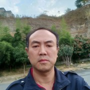 杨东芳
