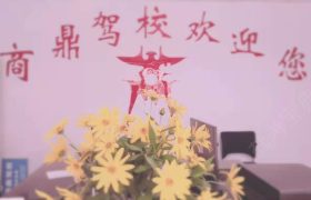 商鼎驾校