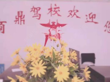 商鼎驾校