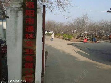 通林驾校