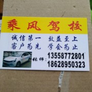 张自国
