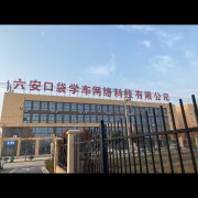 口袋张教练
