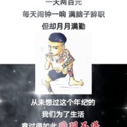 段顺林