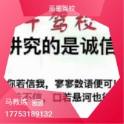 马教练