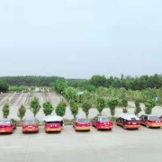罗成龙