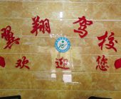翼翔驾校