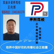 王向辉