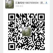 贾茏