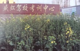 盛虹驾校