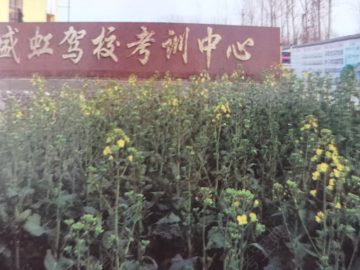 盛虹驾校
