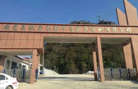 权鑫驾校