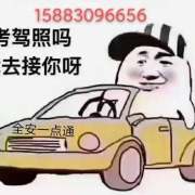 罗杰