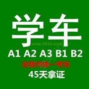 杨教练