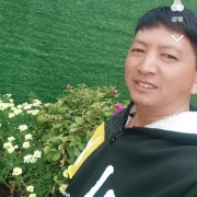 杨宏伟