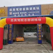 忠良李教练