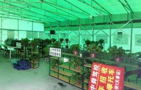 教学环境