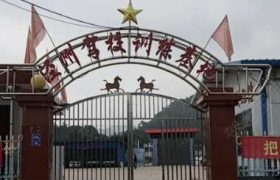 泾州驾校