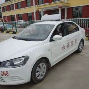 路教练