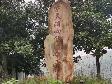 宇天浦响驾校