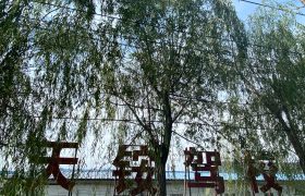 天铵驾校