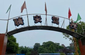 骑安驾校