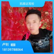 卢钊