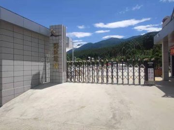 新乘驾校